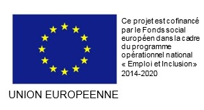 logo FSE europe